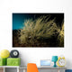 Black Coral Tree Antipathes Wall Decal