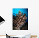 Black Coral Tree and Wall Decal