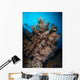 Black Coral Tree and Wall Decal