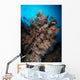 Black Coral Tree and Wall Decal