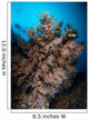 Black Coral Tree and Wall Decal