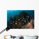 School King Angelfish Holacanthus Wall Decal