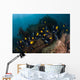 School King Angelfish Holacanthus Wall Decal