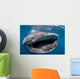 Whale Shark Feeding Plankton Wall Decal Design 4