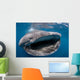 Whale Shark Feeding Plankton Wall Decal Design 4
