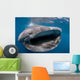 Whale Shark Feeding Plankton Wall Decal Design 4