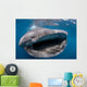 Whale Shark Feeding Plankton Wall Decal Design 4