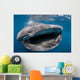 Whale Shark Feeding Plankton Wall Decal Design 4