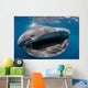 Whale Shark Feeding Plankton Wall Decal Design 4