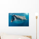 Whale Shark Feeding Plankton Wall Decal Design 3