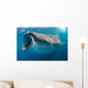 Whale Shark Feeding Plankton Wall Decal Design 3