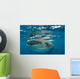 Whale Shark Feeding Plankton Wall Decal Design 2