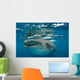 Whale Shark Feeding Plankton Wall Decal Design 2