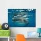 Whale Shark Feeding Plankton Wall Decal Design 2