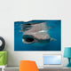 Whale Shark Feeding Plankton Wall Decal Design 1