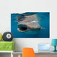 Whale Shark Feeding Plankton Wall Decal Design 1