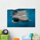 Whale Shark Feeding Plankton Wall Decal Design 1