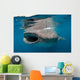 Whale Shark Feeding Plankton Wall Decal Design 1