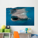Whale Shark Feeding Plankton Wall Decal Design 1