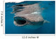 Whale Shark Feeding Plankton Wall Decal Design 1