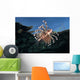 Lionfish Pterois Volitans Wall Decal
