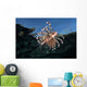 Lionfish Pterois Volitans Wall Decal