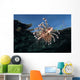 Lionfish Pterois Volitans Wall Decal