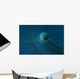 Eye Detail Napoleon Wrasse Wall Decal