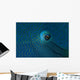 Eye Detail Napoleon Wrasse Wall Decal