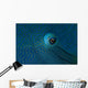 Eye Detail Napoleon Wrasse Wall Decal
