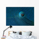 Eye Detail Napoleon Wrasse Wall Decal