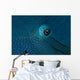 Eye Detail Napoleon Wrasse Wall Decal