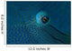 Eye Detail Napoleon Wrasse Wall Decal
