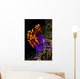 Spanish Shawl Flabellina Iodinea Wall Decal Design 1