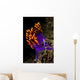 Spanish Shawl Flabellina Iodinea Wall Decal Design 1
