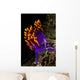 Spanish Shawl Flabellina Iodinea Wall Decal Design 1