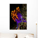 Spanish Shawl Flabellina Iodinea Wall Decal Design 1