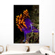 Spanish Shawl Flabellina Iodinea Wall Decal Design 1
