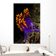 Spanish Shawl Flabellina Iodinea Wall Decal Design 1