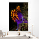 Spanish Shawl Flabellina Iodinea Wall Decal Design 1
