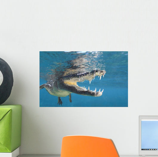 American Crocodile Crocodylus Acutus Wall Decal Design 5
