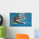 American Crocodile Crocodylus Acutus Wall Decal Design 5