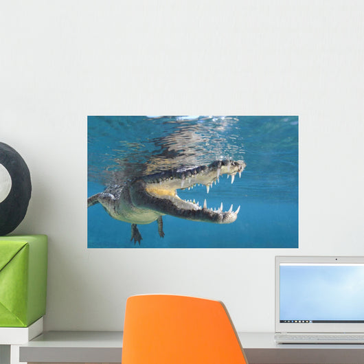 American Crocodile Crocodylus Acutus Wall Decal Design 5