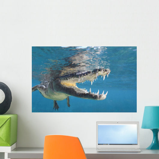 American Crocodile Crocodylus Acutus Wall Decal Design 5
