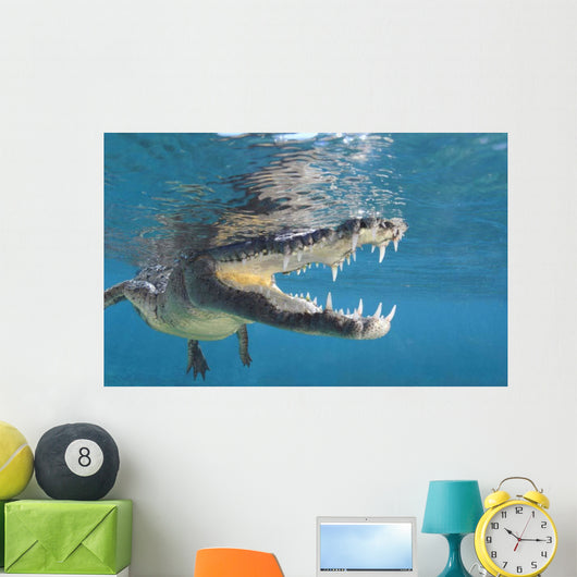 American Crocodile Crocodylus Acutus Wall Decal Design 5