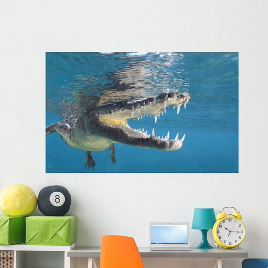 American Crocodile Crocodylus Acutus Wall Decal Design 5