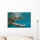 American Crocodile Crocodylus Acutus Wall Decal Design 4