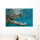 American Crocodile Crocodylus Acutus Wall Decal Design 4
