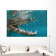 American Crocodile Crocodylus Acutus Wall Decal Design 4
