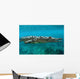 American Crocodile Crocodylus Acutus Wall Decal Design 3